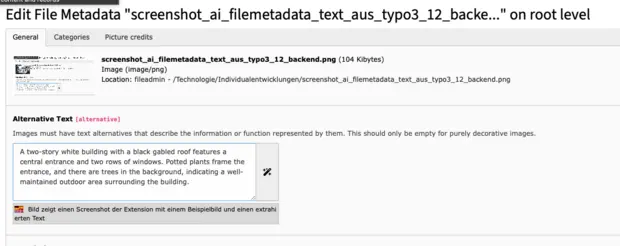 Screenshot showing the extension with an english text